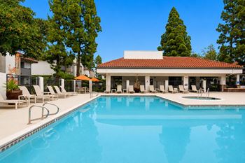 Sun-soaked swimming pool with spa/hot tub